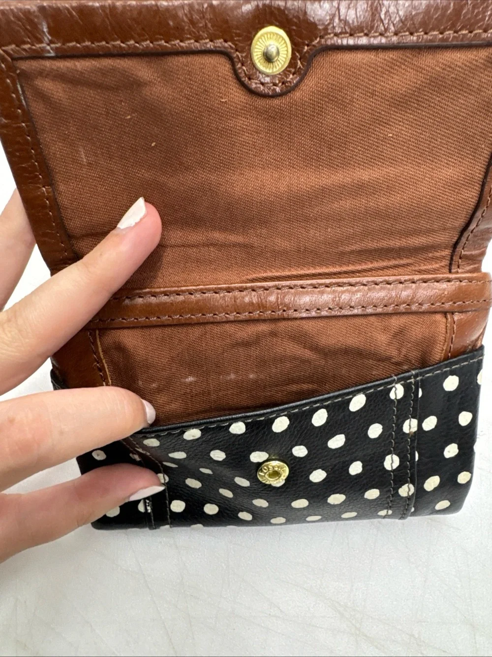 Fossil super cute